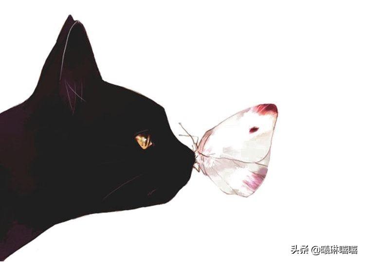 详情图是什么意思？淘宝详情图制作方法技巧有哪些