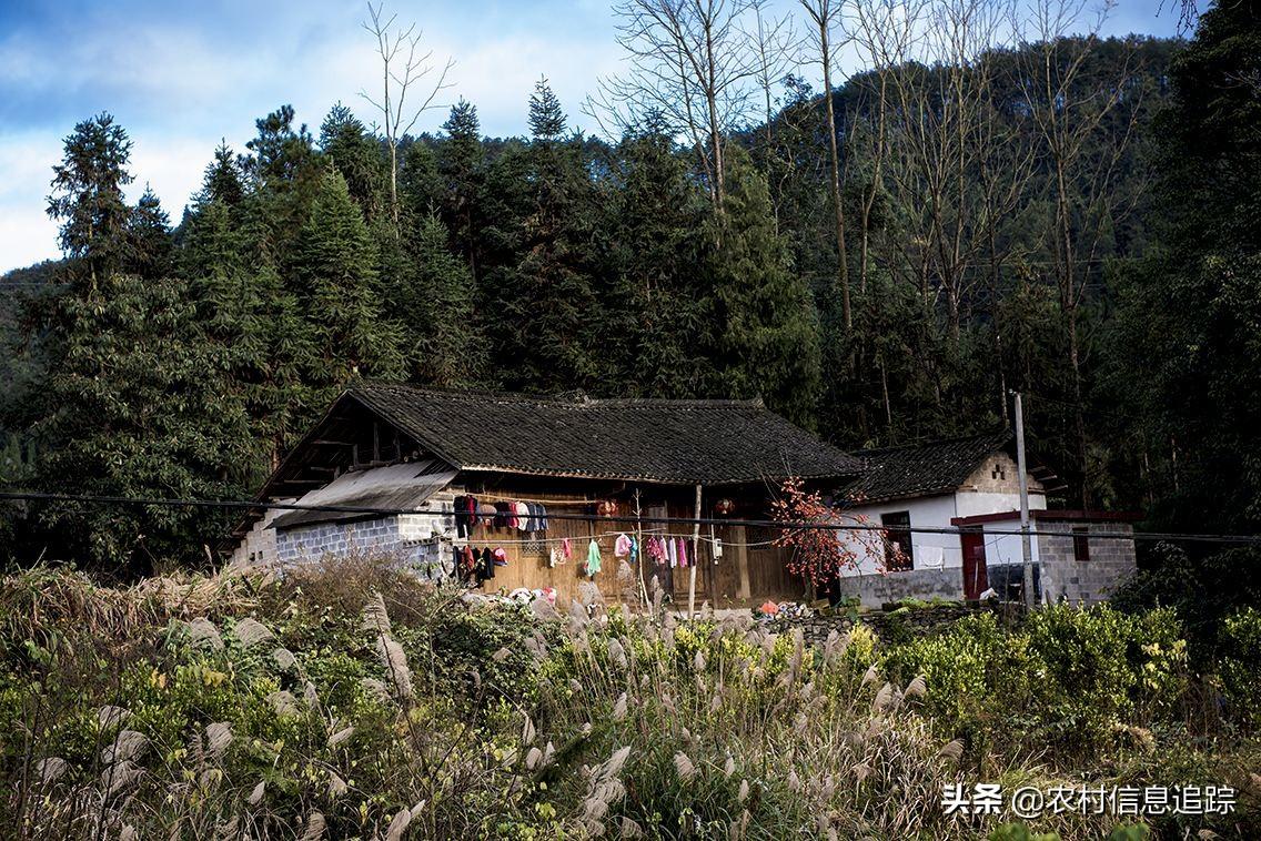 家庭养殖好项目有哪些？不愁销路可致富的农村养殖项目推荐