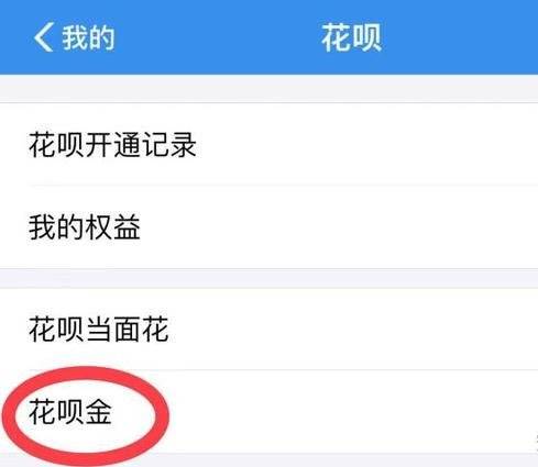 花呗金是什么意思？支付宝花呗金的含义解释及功能介绍