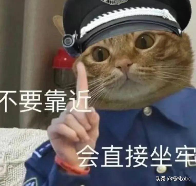 保税仓的东西是正品吗？国内正规的保税仓有哪些？