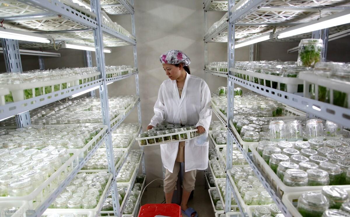 半成品加工项目手工活（家庭小工厂半成品代加工项目推荐）