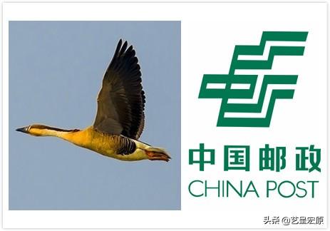 顺丰图标的含义是什么？十家物流快递公司logo设计释义讲解