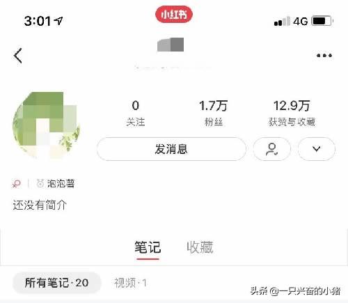 小红书推广方案模板（解析小红书推广流程及注意事项）