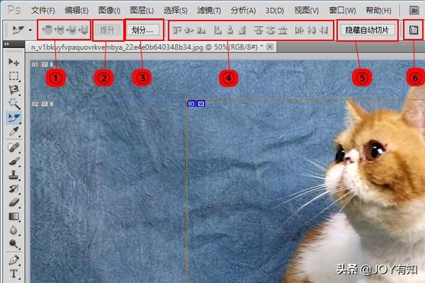 ps中的切片工具怎么用？ps用户切片和自动切片的区别是什么？