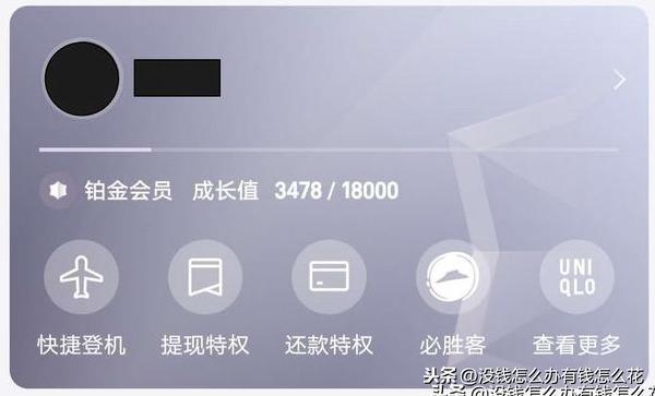 铂金会员一年消费多少钱？支付宝铂金会员是什么等级？