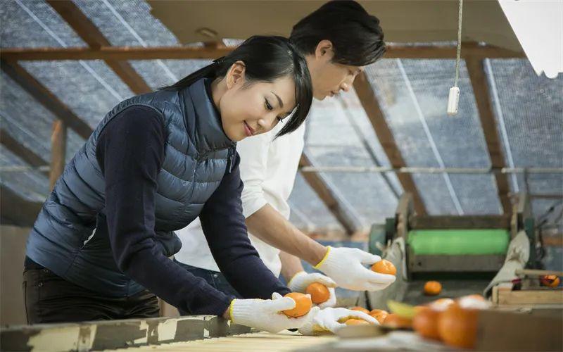 年利润30万的小作坊有哪些？2023年高利润小成本的小作坊项目