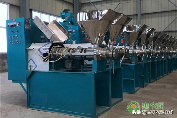 榨油机器全自动多少钱一套？2020不同品种榨油机械报价大全