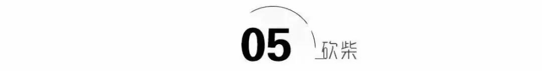 小黄车创始人个人简介（小黄车ceo戴威的发展现状及创业路程）