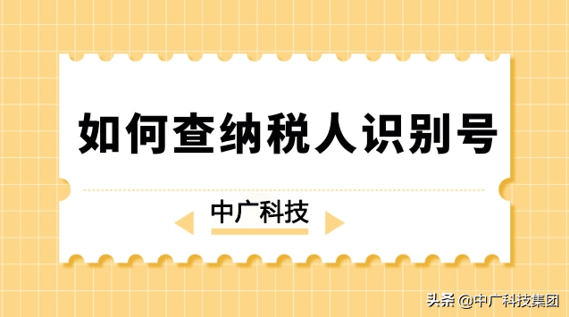 企业税号在哪里看？纳税人税号的查询办法及相关作用介绍