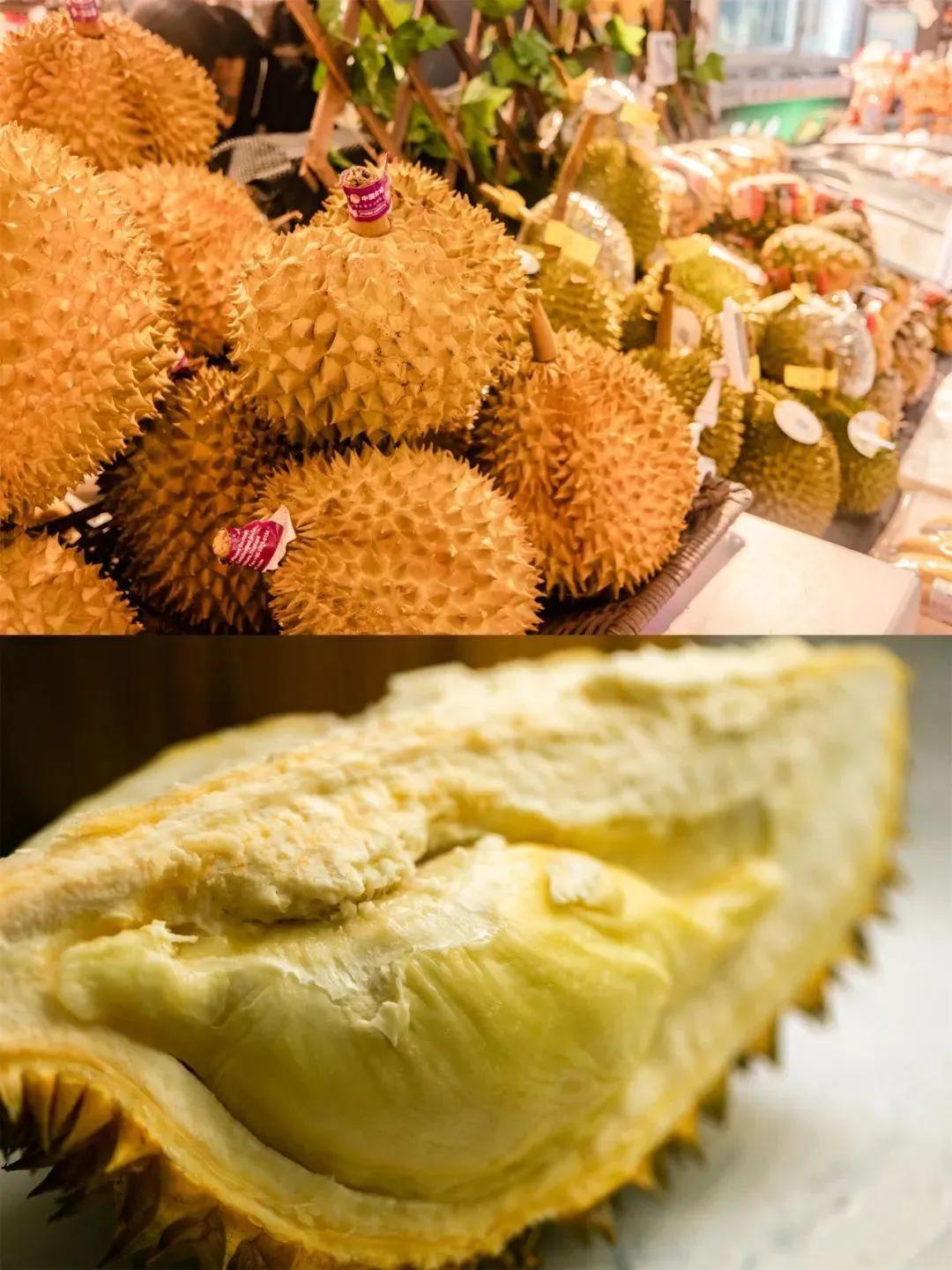 新致富项目种植（2023年不愁销路的种植模式推荐）