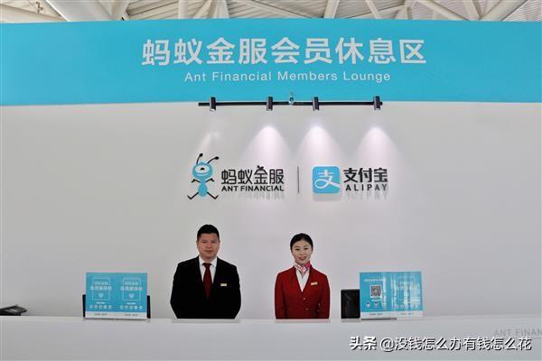 铂金会员一年消费多少钱？支付宝铂金会员是什么等级？