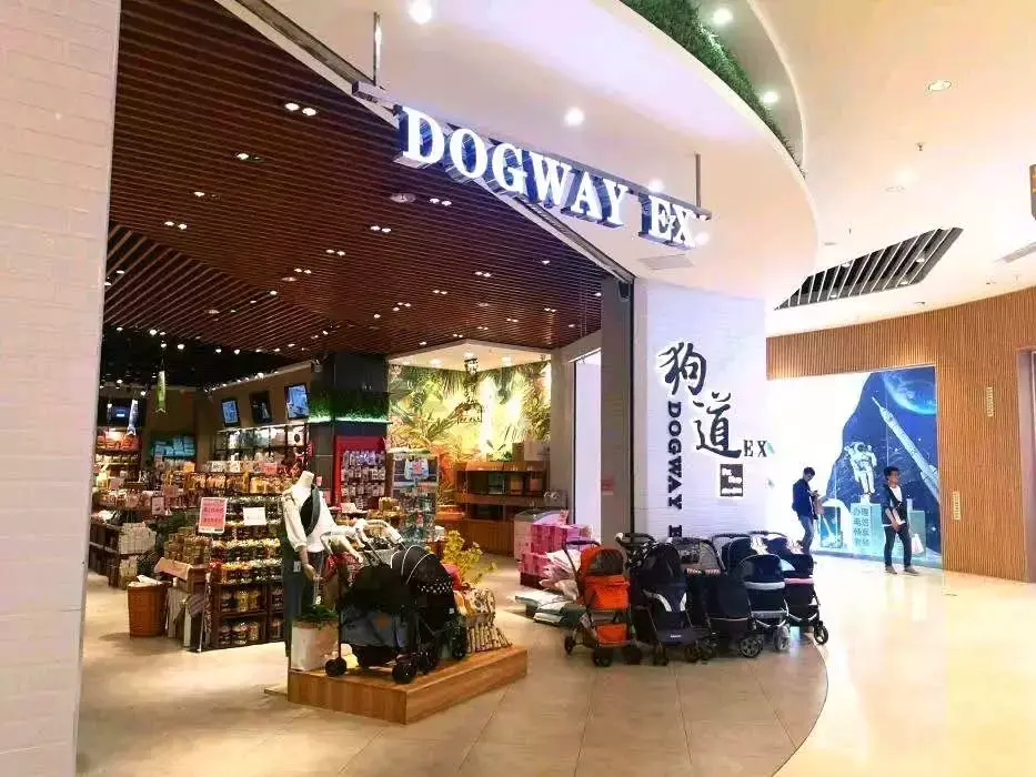 如何开个宠物店赚钱？投资宠物店的利润分析及收入来源