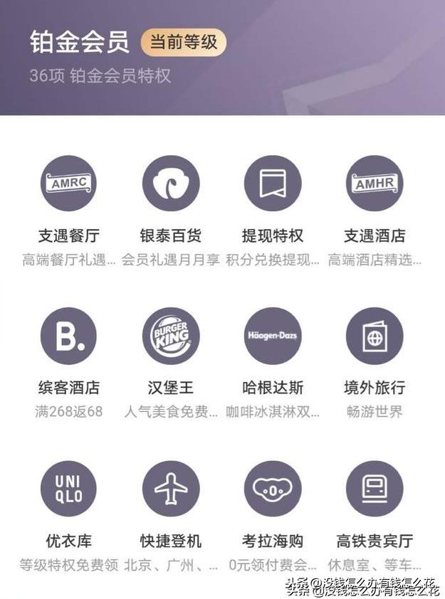 铂金会员一年消费多少钱？支付宝铂金会员是什么等级？