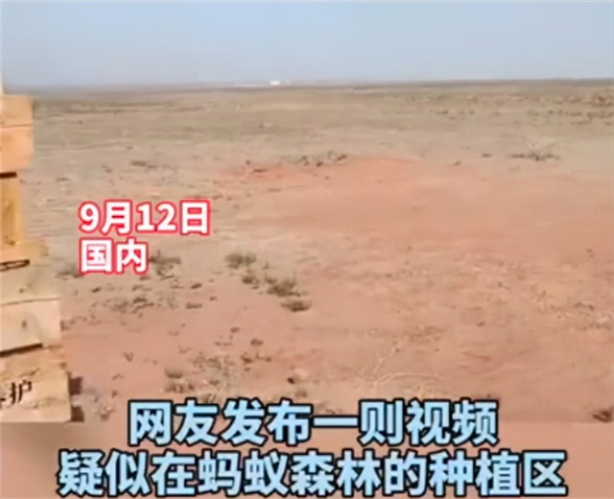 蚂蚁森林种树是真的吗？支付宝蚂蚁森林真正的目的及意义