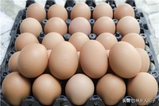 鸡蛋批发一手货源价格（全国蛋品十大批发市场及鸡蛋进货技巧）