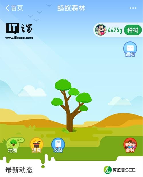 蚂蚁森林合种和自己种有什么区别？解析蚂蚁森林合种树的六个阶段