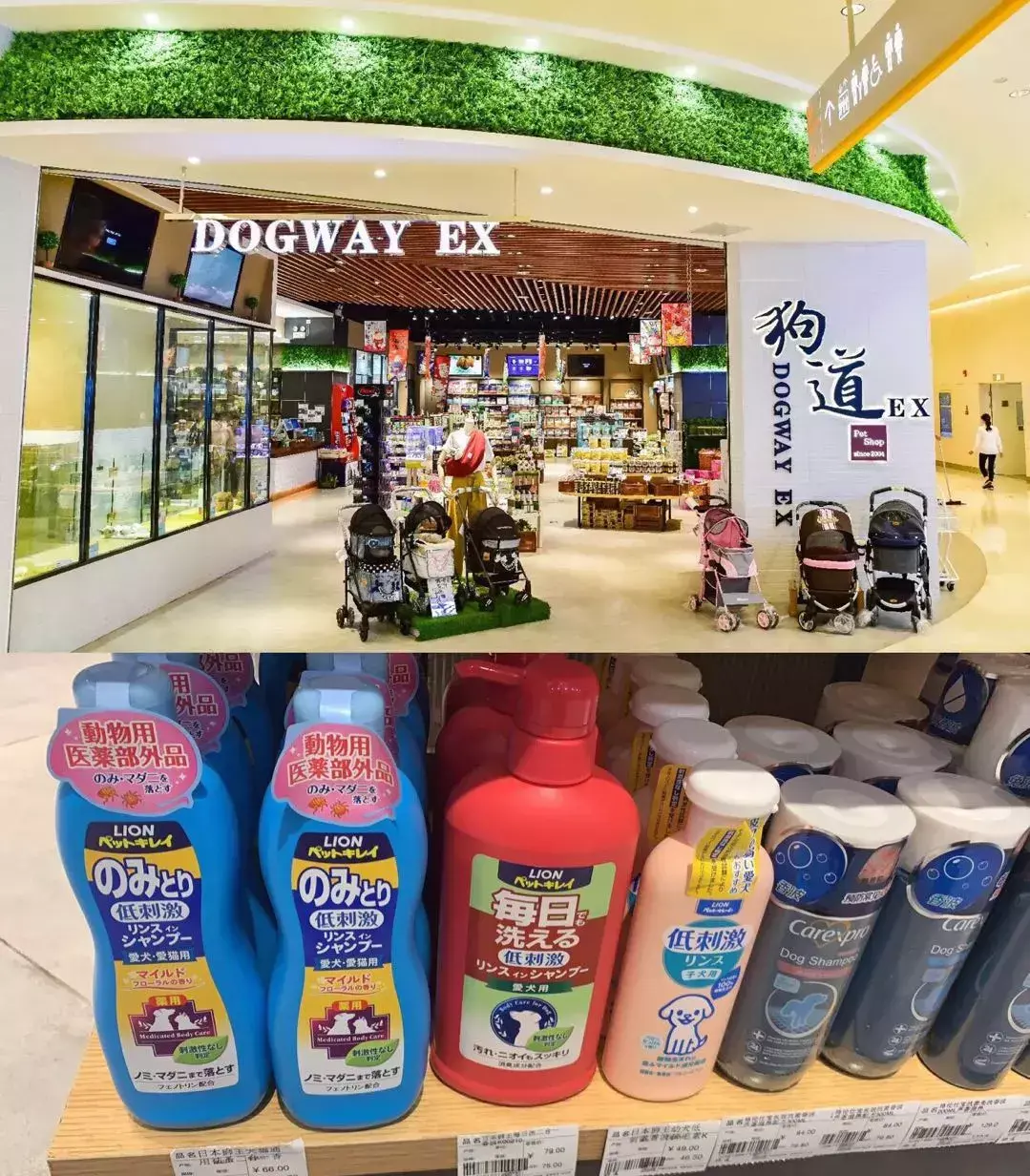 如何开个宠物店赚钱？投资宠物店的利润分析及收入来源