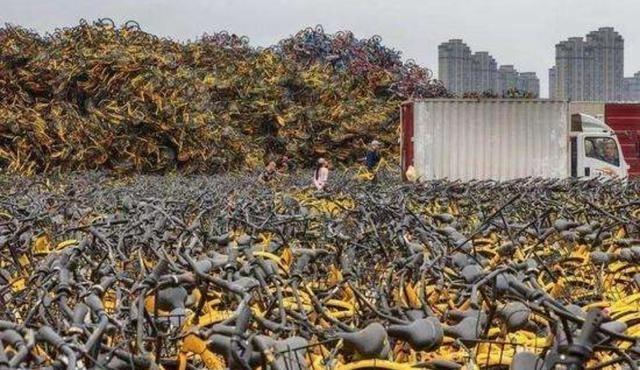 小黄车创始人个人简介（小黄车ceo戴威的发展现状及创业路程）