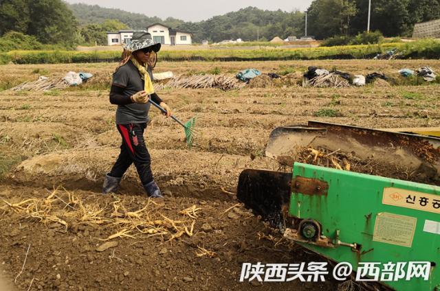 京东全球购是正品吗?京东全球购化妆品鉴别正品十大技巧