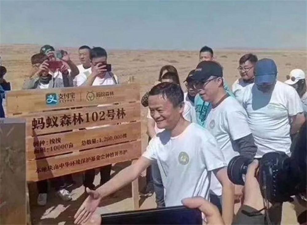 蚂蚁森林种树是真的吗？支付宝蚂蚁森林真正的目的及意义
