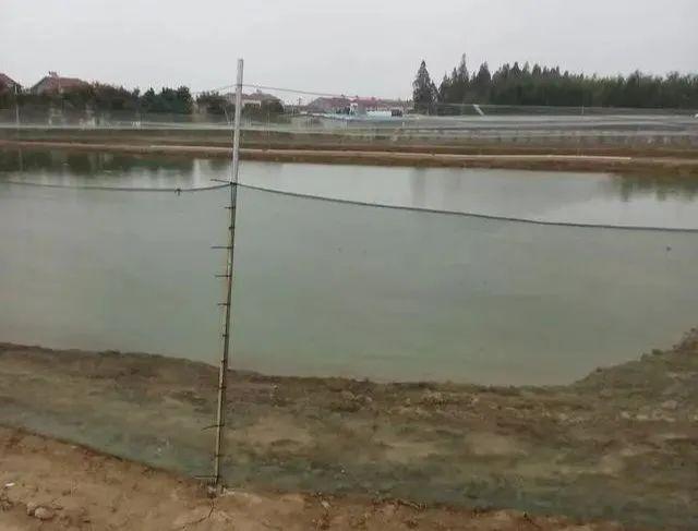 鱼塘怎么建设才能更好？新型人工养鱼池塘的合理建设途径