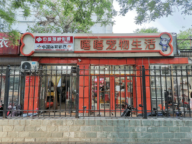 如何开个宠物店赚钱？投资宠物店的利润分析及收入来源
