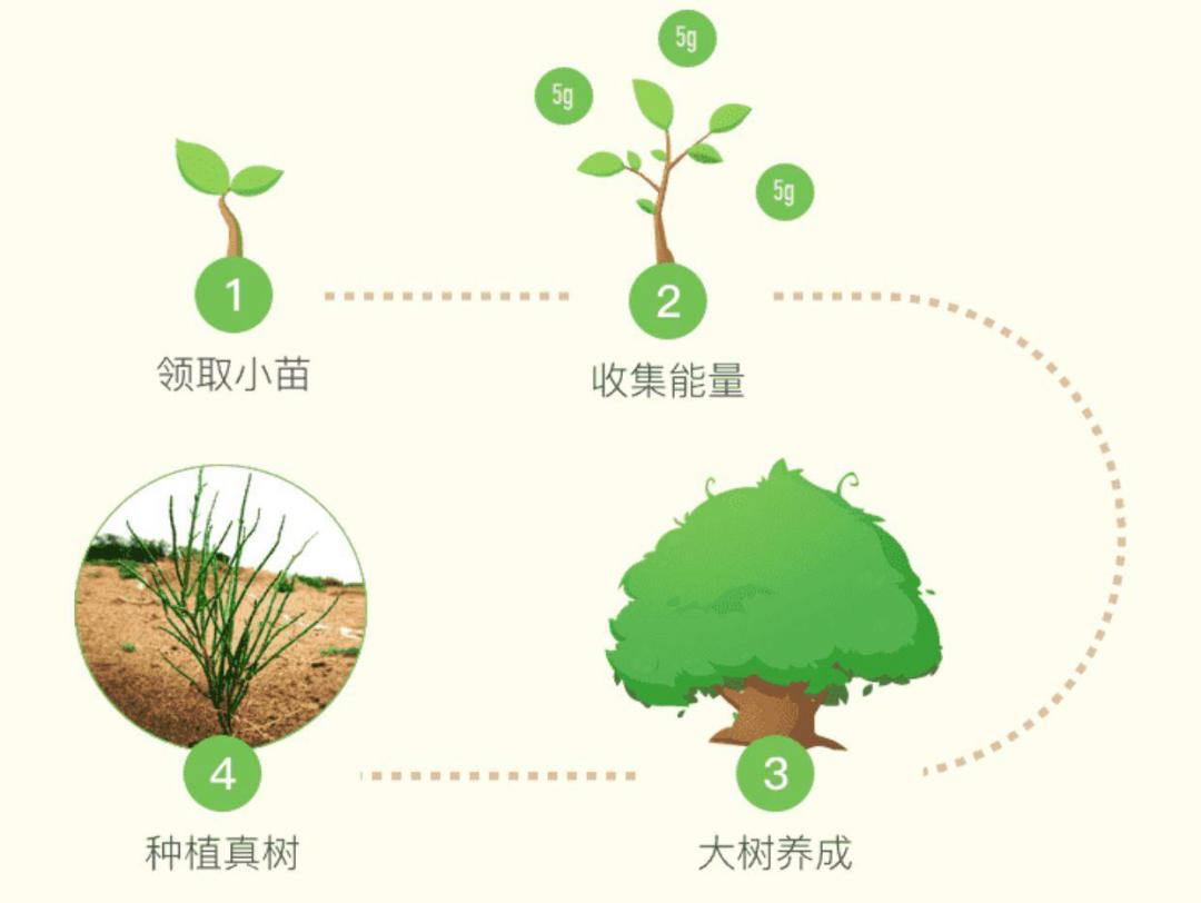 蚂蚁森林种树是真的吗？支付宝蚂蚁森林真正的目的及意义