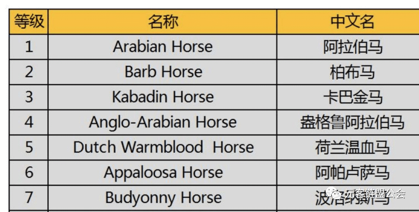 超级赛马场游戏攻略（分享超级大马游戏规则）