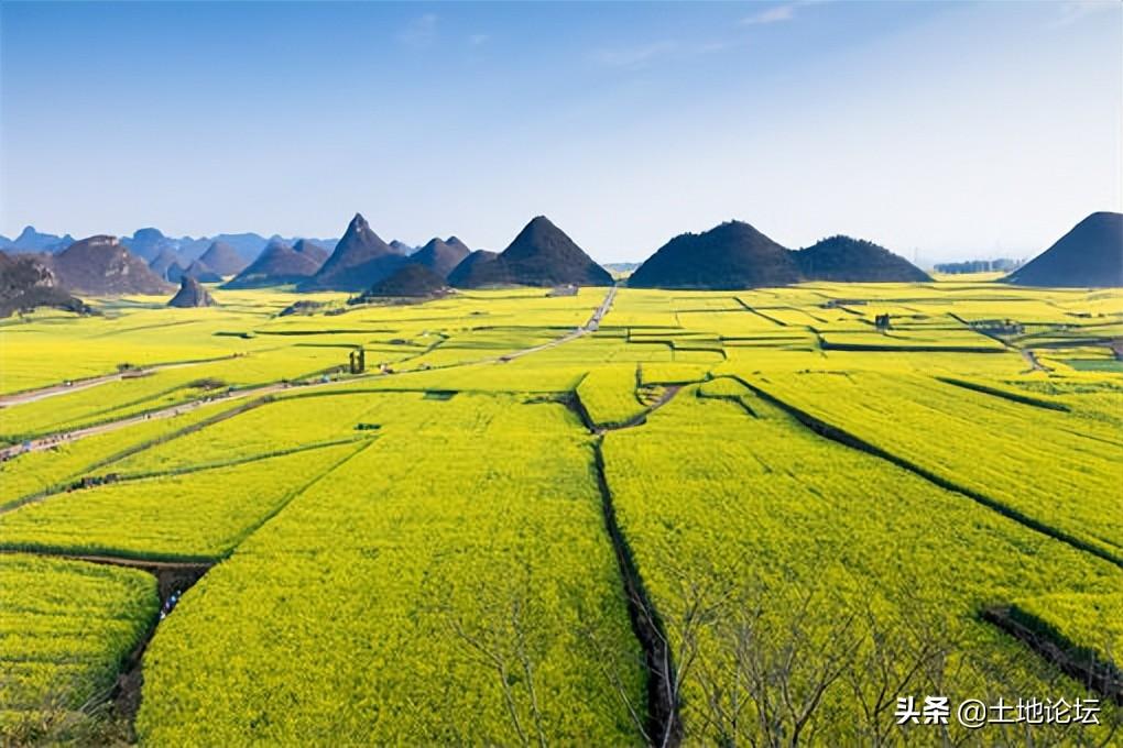 50个适合乡镇做的生意（50个适合小镇创业的小项目推荐）