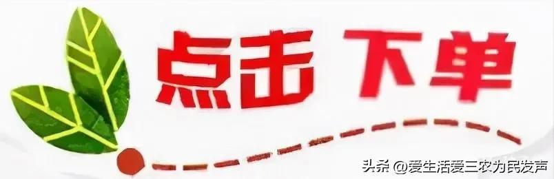 地摊玩具卖什么最火的？2023地摊项目最火排名表一览