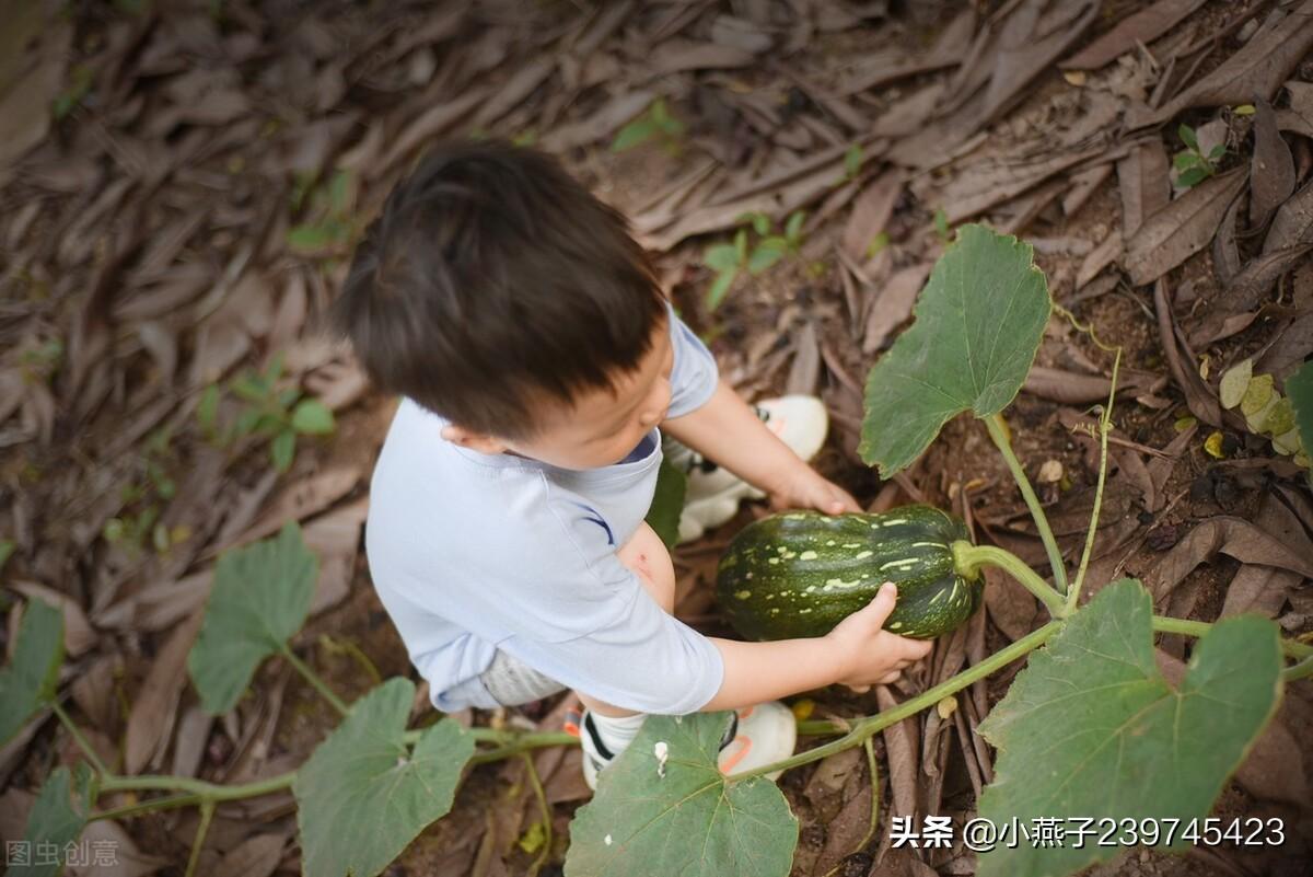 在家创业的项目有哪些？2023适合宝妈在家创业新项目推荐