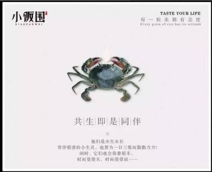 产品卖点文案怎么写?分享产品推广的十大卖点文案