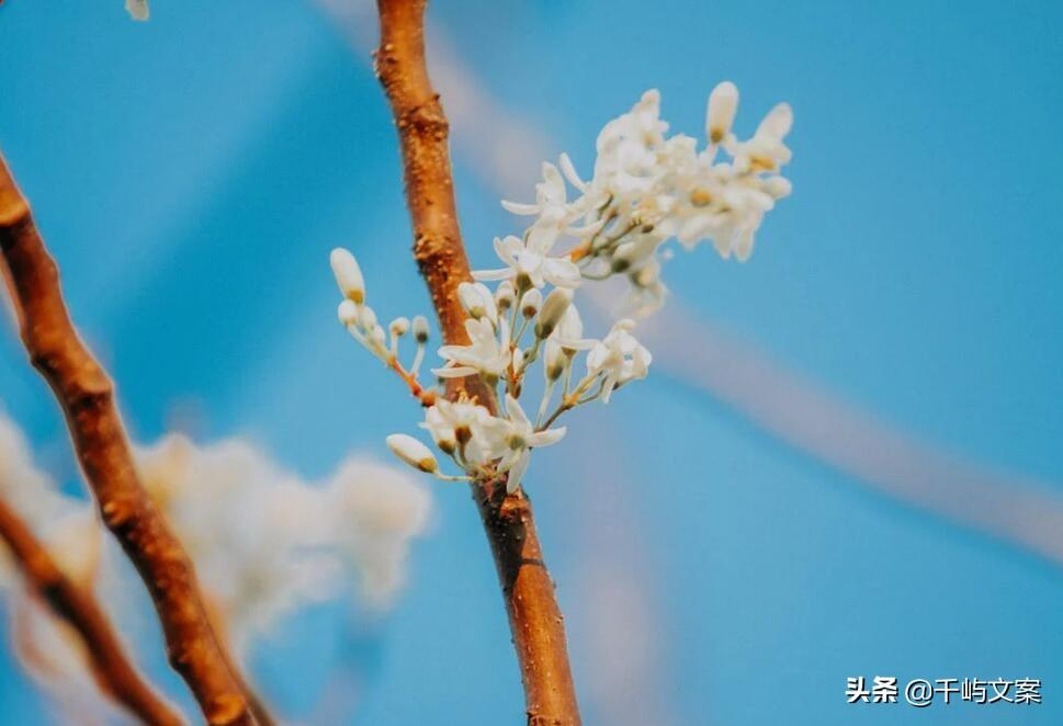 淘宝账号名字大全（2023淘宝简短好听昵称大全）
