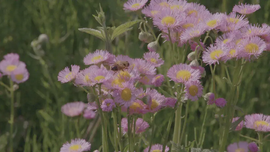 宝妈在家怎么赚钱？适合宝妈在家赚钱的正规平台排行榜
