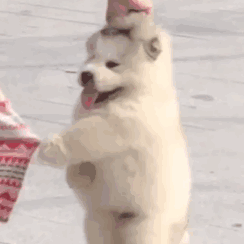 好评语通用20字（淘宝好评通用文案100字模板大全）