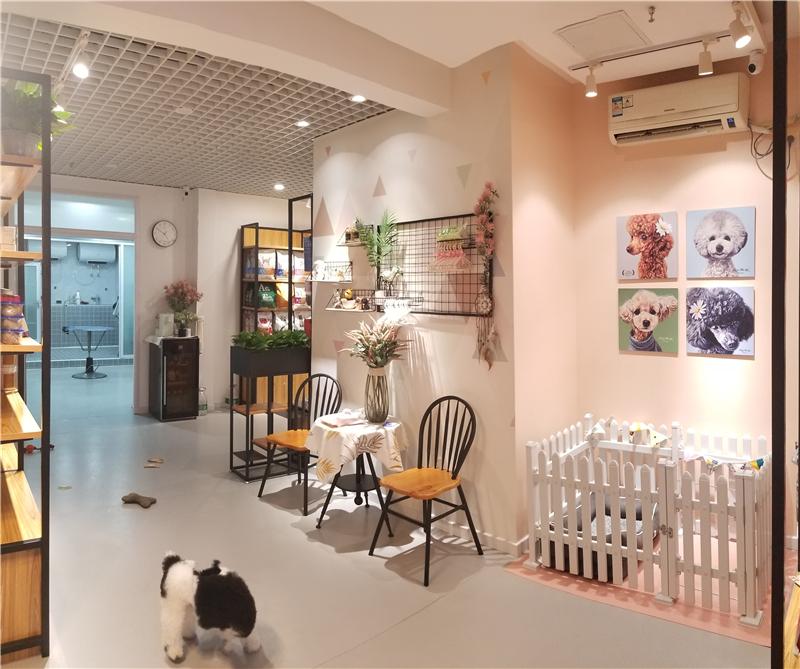 宠物用品进货批发网（解析开宠物店的优势和劣势）