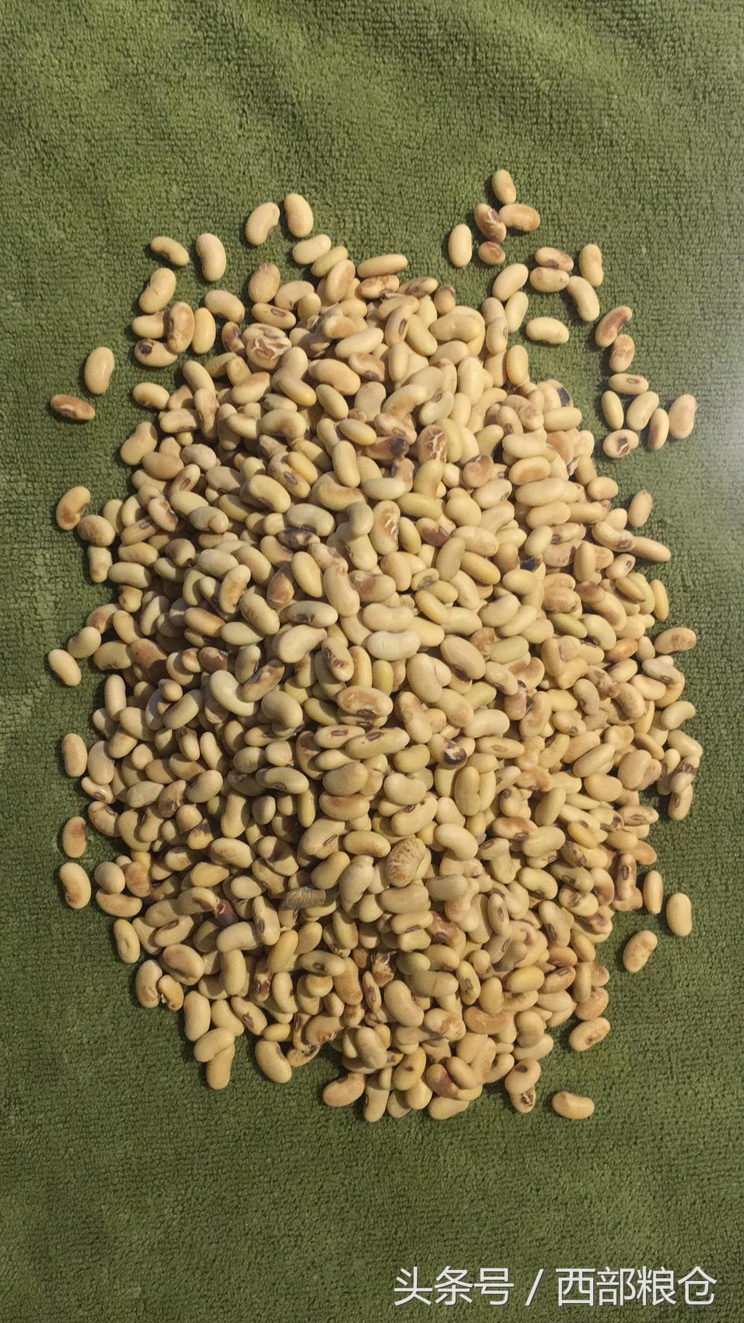 食用农产品标签怎么做？进口食用农产品标签规定表一览