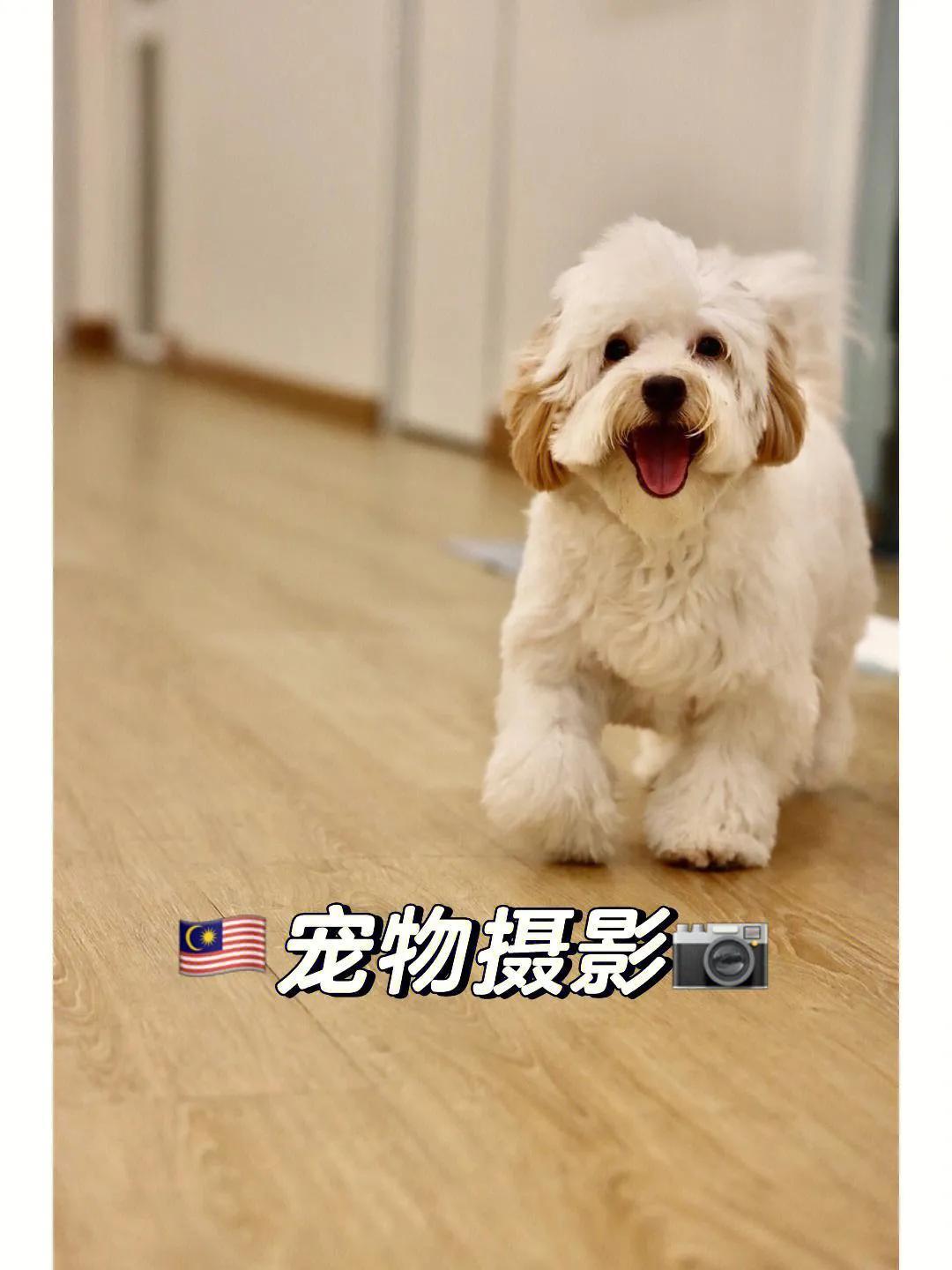 个人小成本创业项目有哪些？20个低成本创业项目推荐