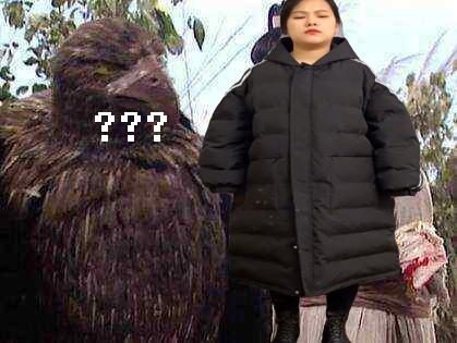 拼多多买家秀在哪看？拼多多买家秀合集入口