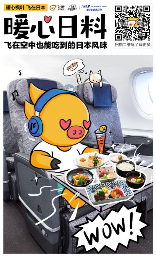 全日空官网订机票（全日空机票预定流程及方法）