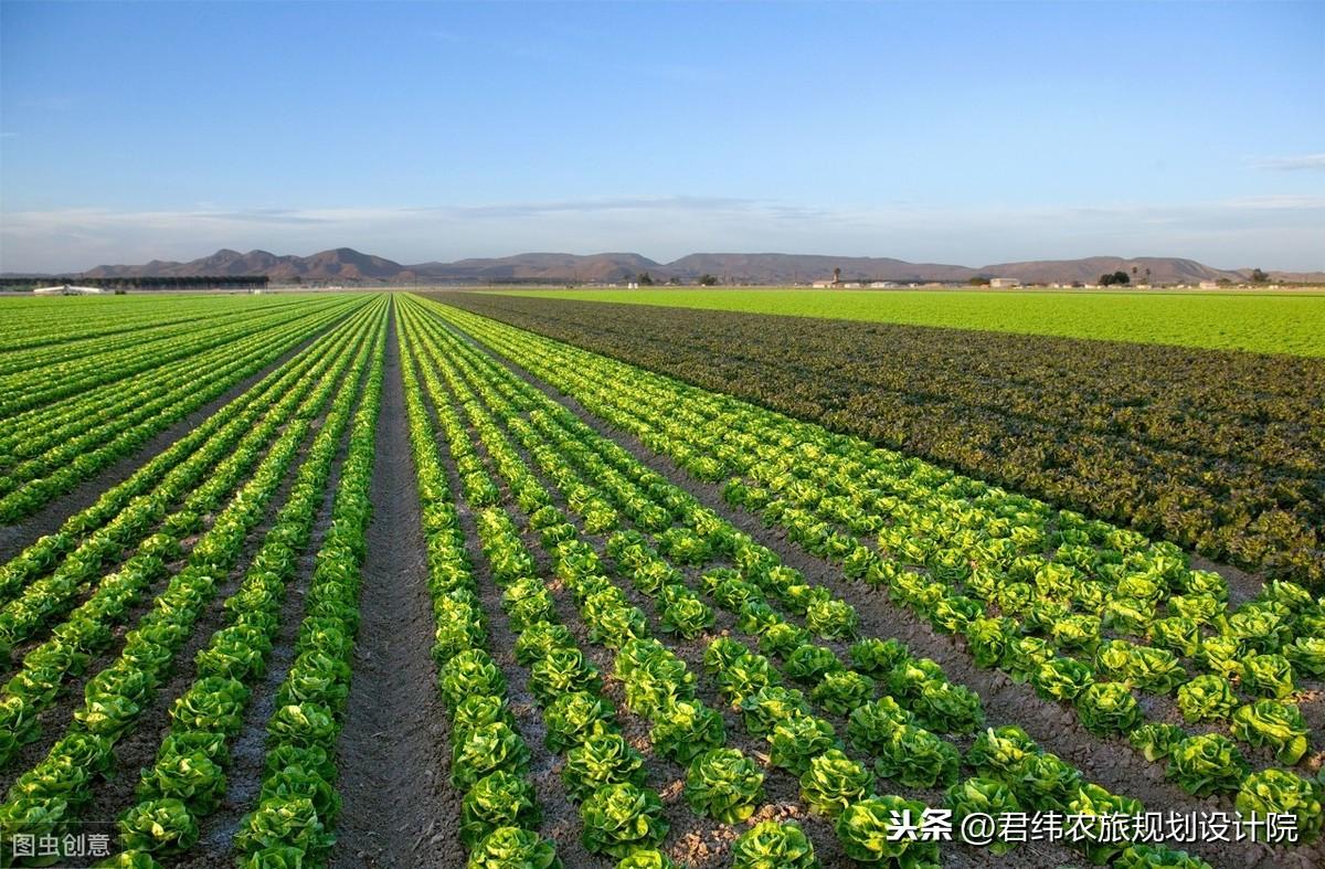 农村种植项目申请书怎么写?分享农村种植申请书范文模板大全