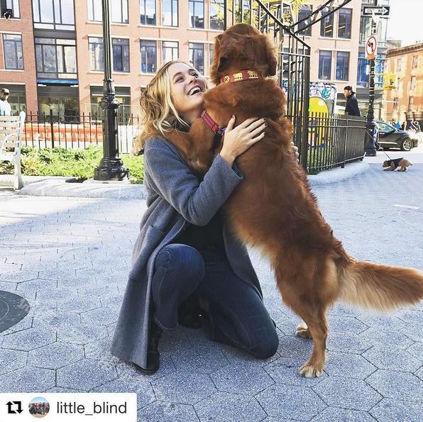 宠物帮领养中心官网（正规免费领养app平台排名）