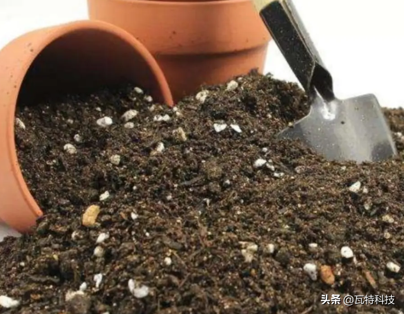 绿色环保项目有哪些？2023绿色环保节能创业项目排行榜