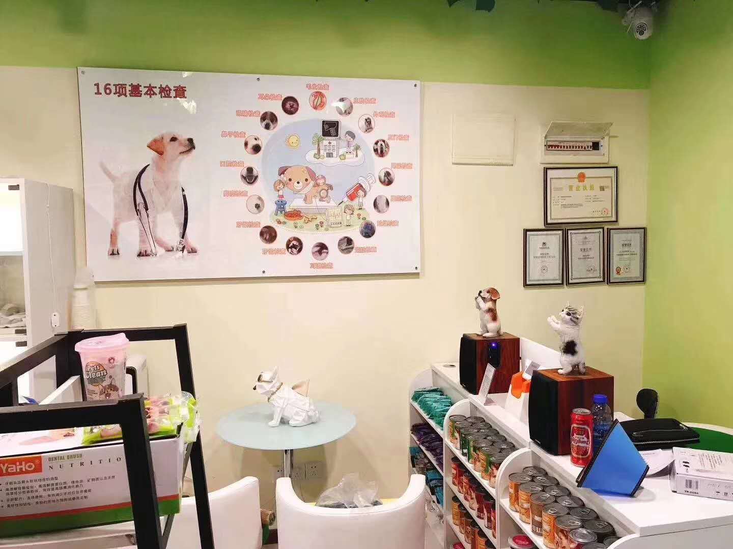开个宠物店要具备什么条件？全国十大宠物加盟品牌排行榜