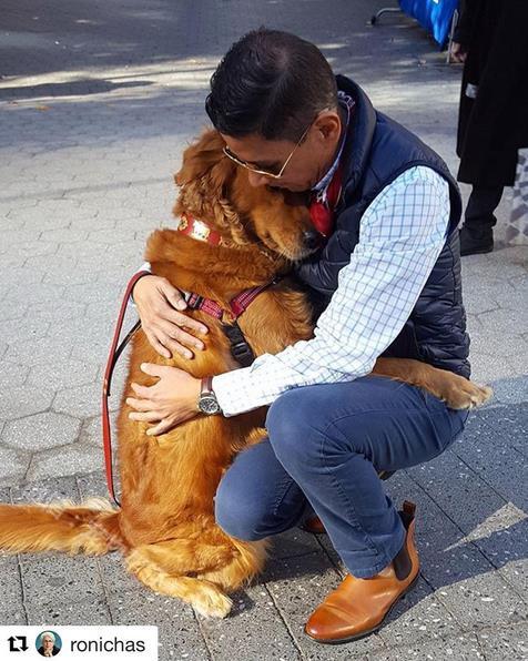 宠物帮领养中心官网（正规免费领养app平台排名）