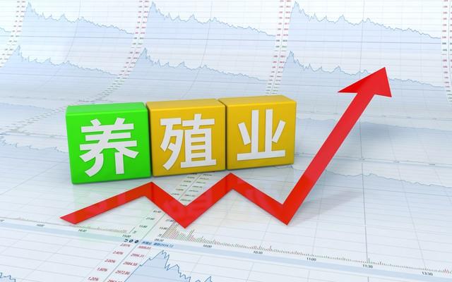 农村的养殖业什么最挣钱？适合农村家庭养殖项目排行榜前十