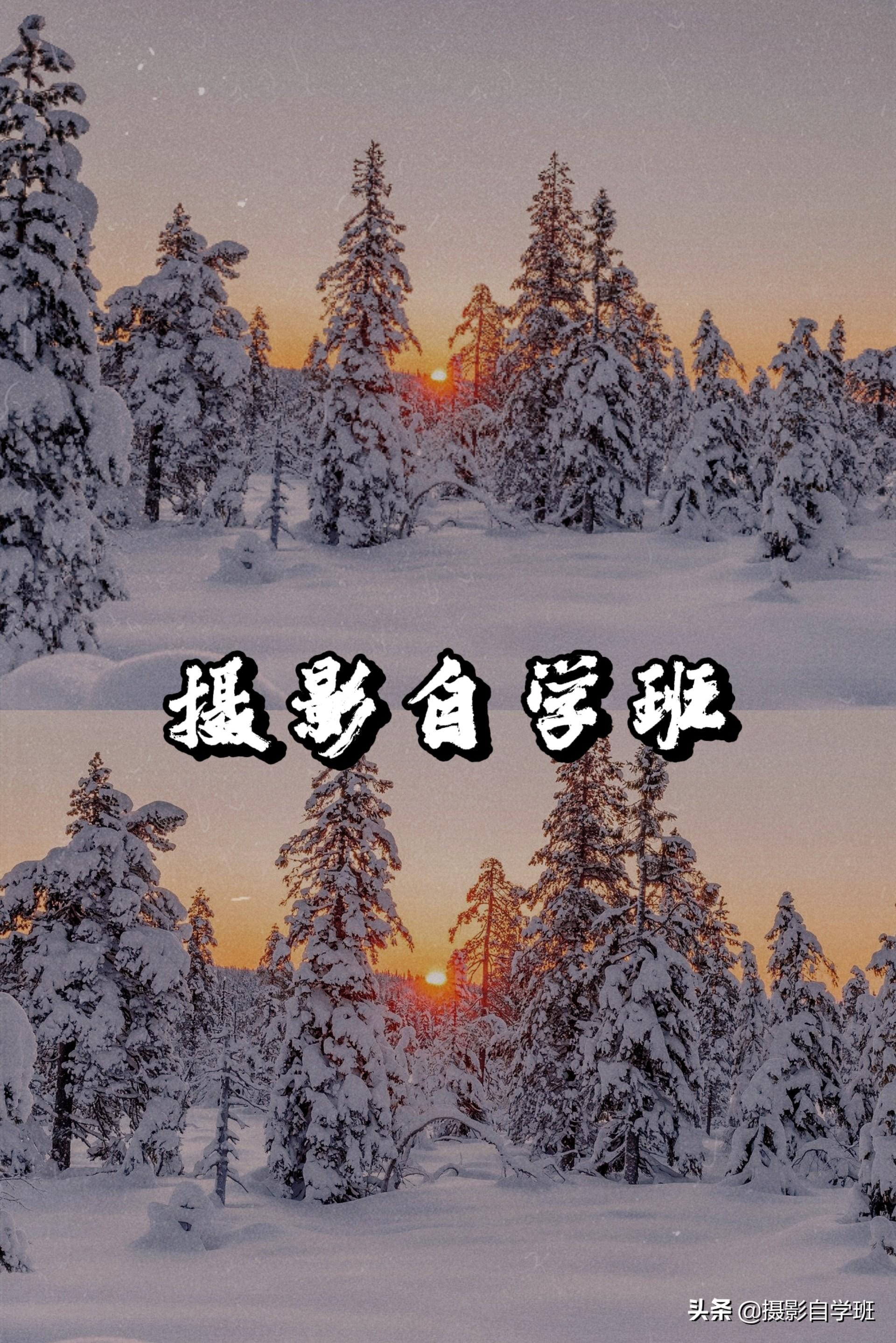 图片水印怎么制作？教你三个手机图片添加水印的方法