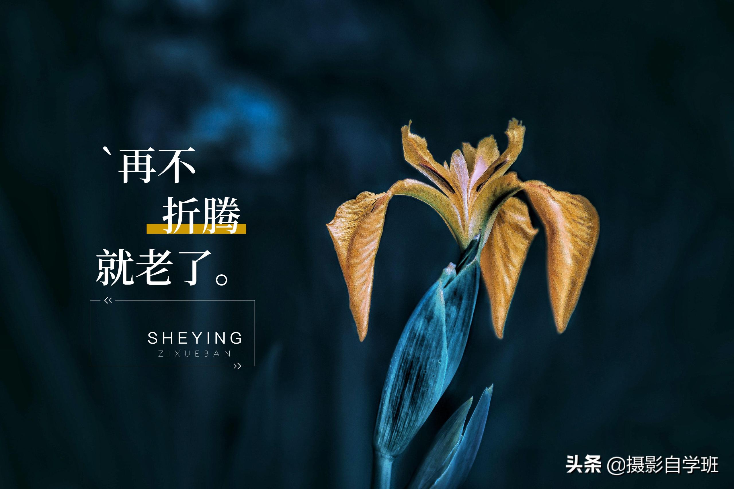 图片水印怎么制作？教你三个手机图片添加水印的方法