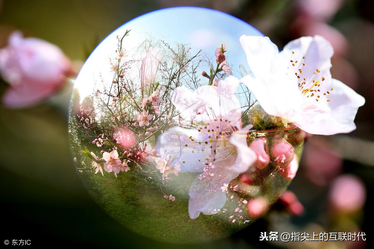 淘宝美工是什么工作？淘宝天猫开店流程及费用