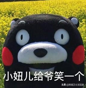 wish跨境电商平台官网（wish跨境电商的优势及特点）